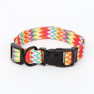 Designer Personalized Custom Best Training Petsafe Dog Collar With Name