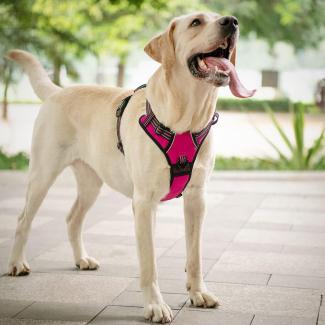 Dog Harness No-Pull Pet Harness Adjustable Outdoor Pet Vest reflection
