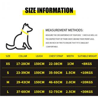 How to fit a dog harness correctly