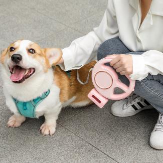 Retractable Leash Safety Guide Risks Safer Use Tips
