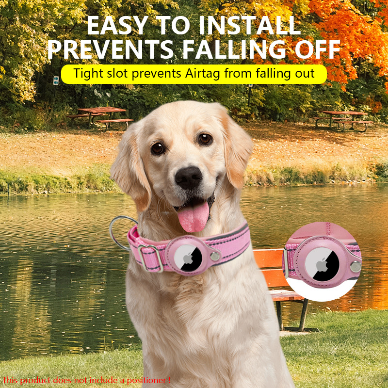 nylon dog collar 2.jpg