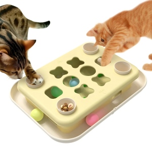 Food Puzzle Toys.jpg