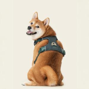 Vest dog harness(1).jpg