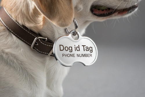 Must-have details section.jpg